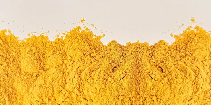 Corn Fermented Protein (CFP)