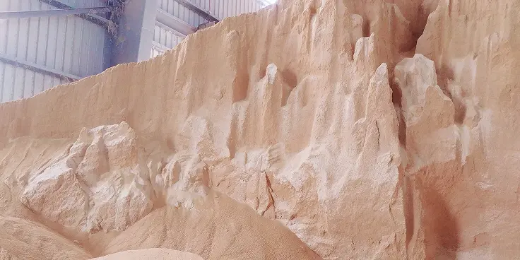 soybean meal